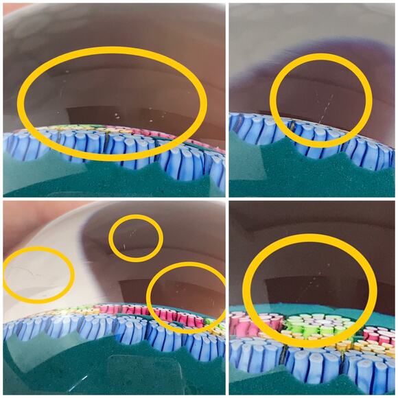 Perthshire Kissing Fish Millefiori Hexagon Twist Aquatic Lampwork SE Paperweight - Picture 12 of 15